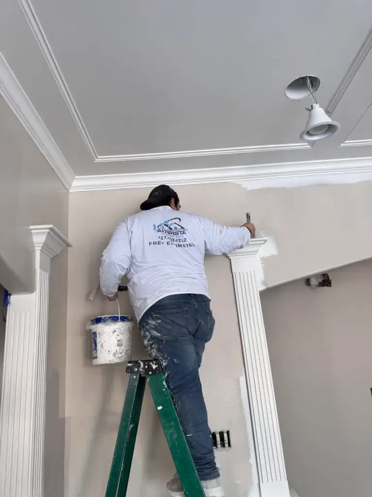 Altavista Painting painter