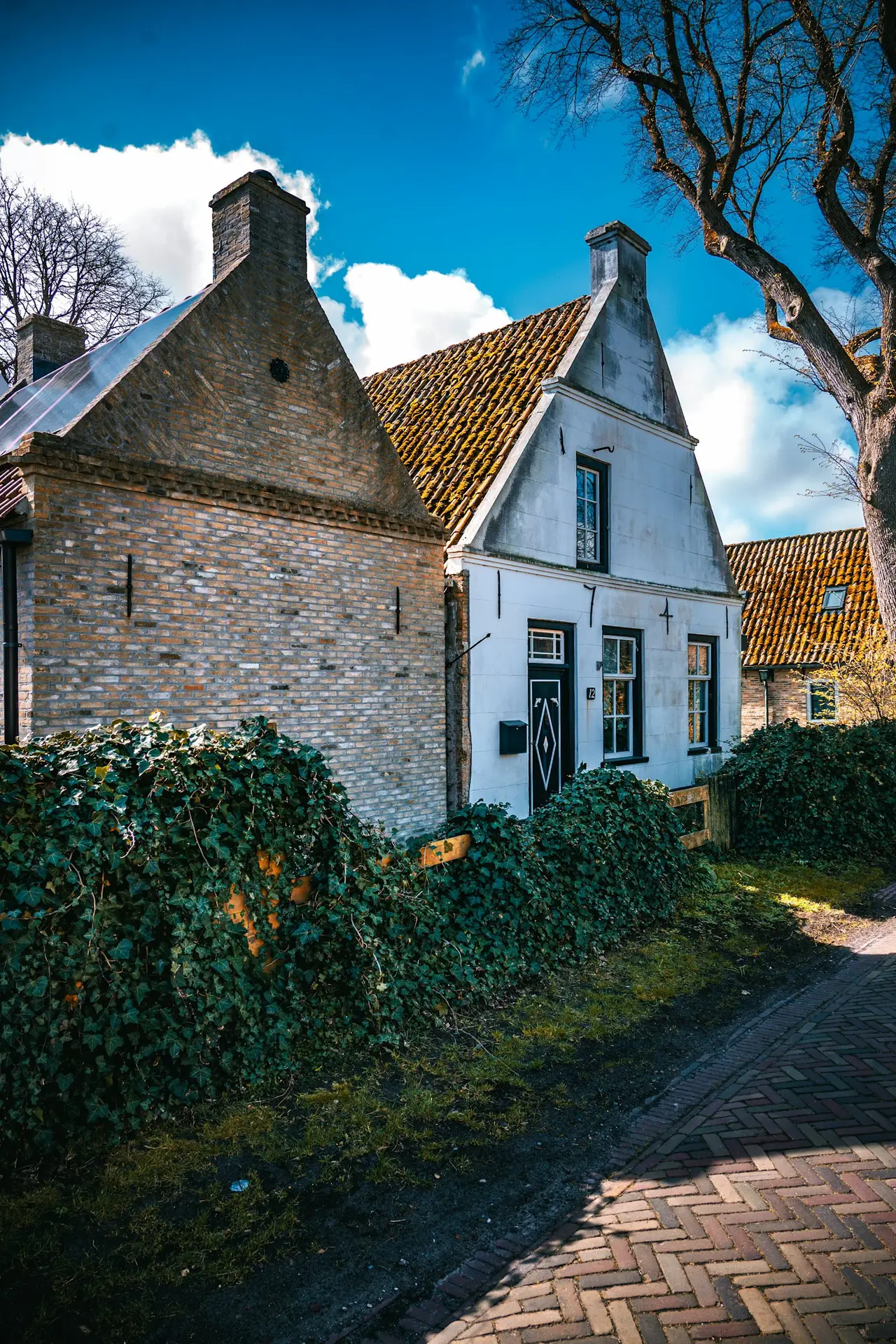 European style brick house with partial white limewash and climbing ivy